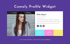 Comely Profile Widget Responsive Widget Template
