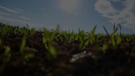 Germinate an Agriculture Flat Bootstrap Responsive Web Template