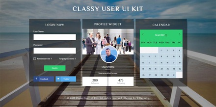 Classy User UI Kit a Responsive Widget Template
