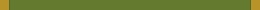 Bird Store Template