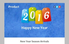 Product a New year Season Newsletter Responsive Web Template