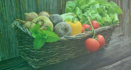Organic Store – Agriculture Category Bootstrap Responsive web Template