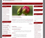 Premiumseries:  | TEMPLATED