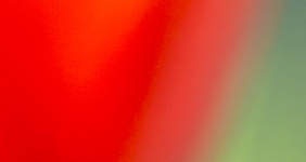 LadyTulip: CSS Templates | TEMPLATED