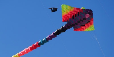 Festive Kites a Newsletter Responsive Web Template
