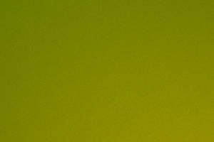 Polychromasia:  | TEMPLATED