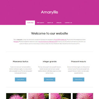 Amaryllis:  | TEMPLATED