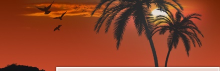 Travel Template
