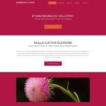 BarbedFlower: CSS Templates | TEMPLATED