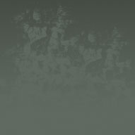 Old Wall Template