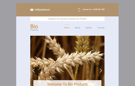 Bio Products a Email Responsive Web Template
