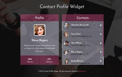 Contact Profile Widget a Flat Responsive Widget Template