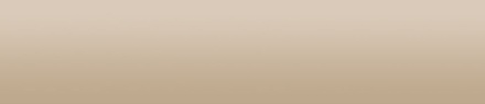 Biz Brown Template