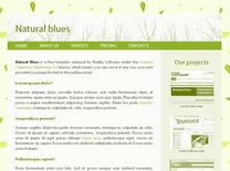 Natural Blues Free CSS Template