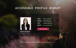 Accessible Profile Widget a Responsive Widget Template
