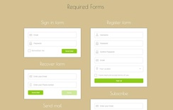Required Forms Responsive Widget Template