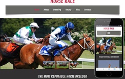 Horse Race a Animal Category Flat Bootstrap Responsive Web Template