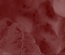 Food Blog Template