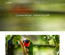 Lorikeet: CSS Templates | TEMPLATED