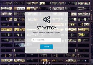 Strategy Free CSS Template