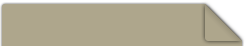 Gadget Store Template