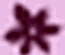 Flower Shop Template