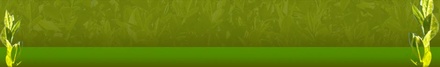 Greenhome Template