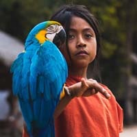 Birds Care – Animals Category Bootstrap Responsive Web Template