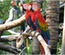 Bird Store Template