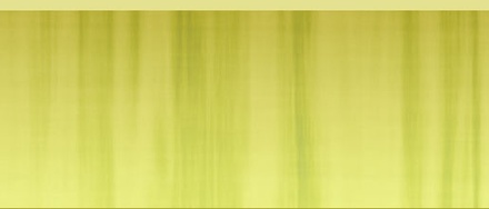 Web Design Template
