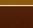 Bird Store Template