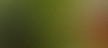 Clarion: CSS Templates | TEMPLATED