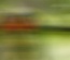 Lorikeet: CSS Templates | TEMPLATED