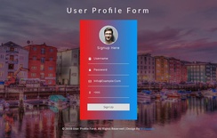 User Profile Form Responsive Widget Template