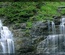 Naturalbeauties:  | TEMPLATED