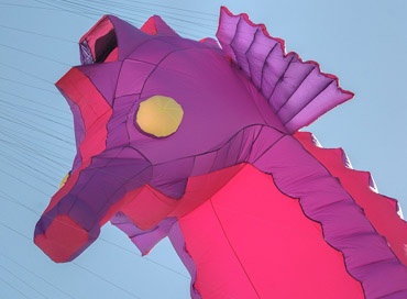 Festive Kites a Newsletter Responsive Web Template