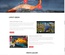 Dazzling Birds an Animal Category Bootstrap Responsive Web Template