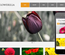 Flowerilla gallery webtemplate and mobile webtemplate for free