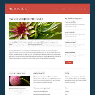 MacroSpikes:  | TEMPLATED