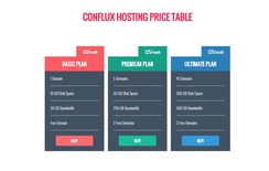 Conflux Hosting Price Table Responsive Widget Template