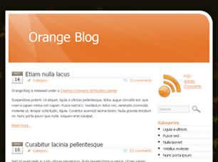 Orange Blog Free CSS Template