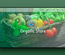 Organic Store – Agriculture Category Bootstrap Responsive web Template