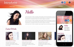 Introducto personal portfolio Mobile Website Template