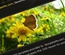Web Design Template