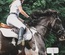 Horse Crew Sports Category Bootstrap Responsive Website Template
