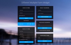 Different Multiple Form Widget Flat Responsive Widget Template