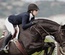 Horse Crew Sports Category Bootstrap Responsive Website Template