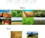 Eco Fruits an Agriculture Category Bootstrap Responsive Web Template