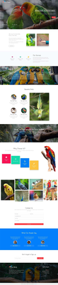 Love Birds – Animals & Pets Category Bootstrap Responsive Web Template