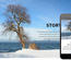 Unicorn a Corporate Business Flat Responsive Web Template